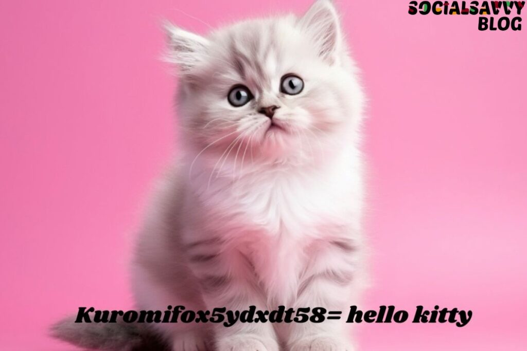 kuromi_fox5ydxdt58= hello kitty